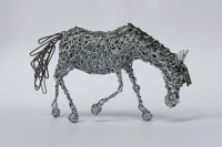 /album/fotogaleria-dizajn/konik-jpg/